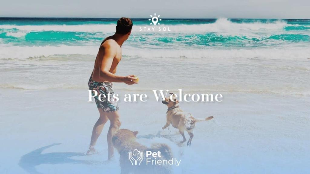 Hollywood Bliss Studio Rooftop Pool