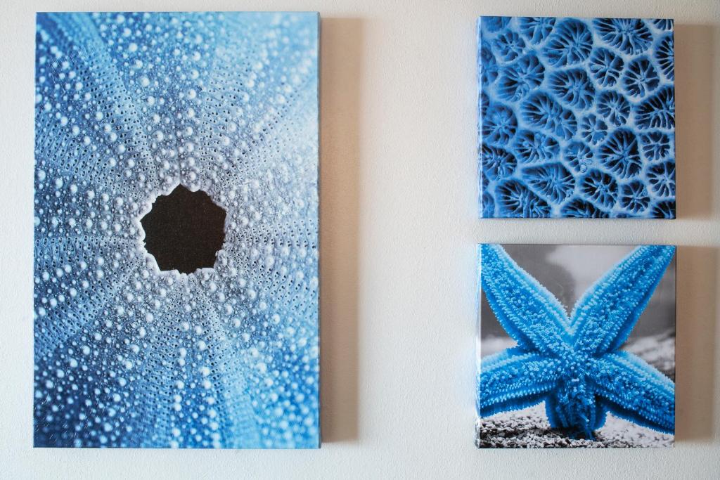 Hollywood Beach Marriott