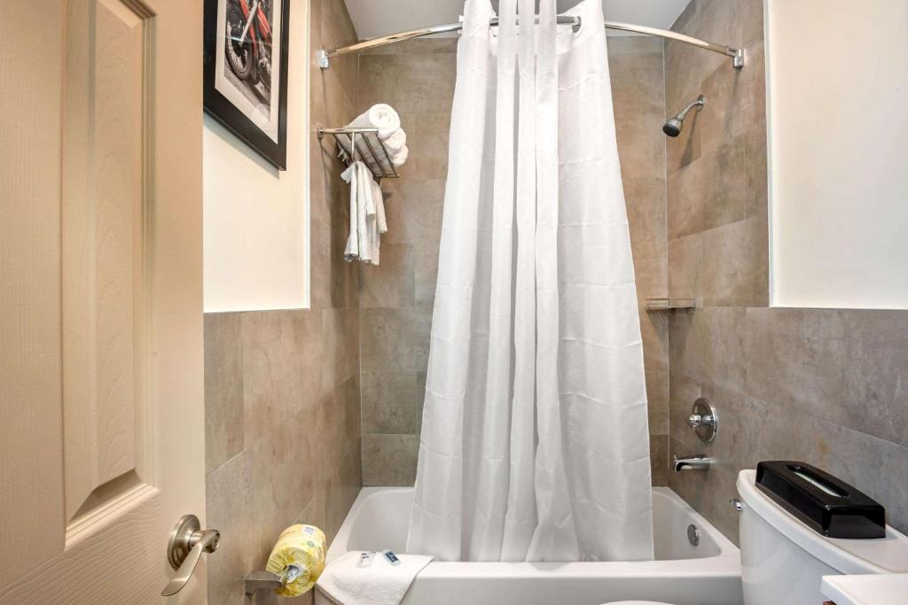 Downtown Hollywood Gardens Inn & Suites