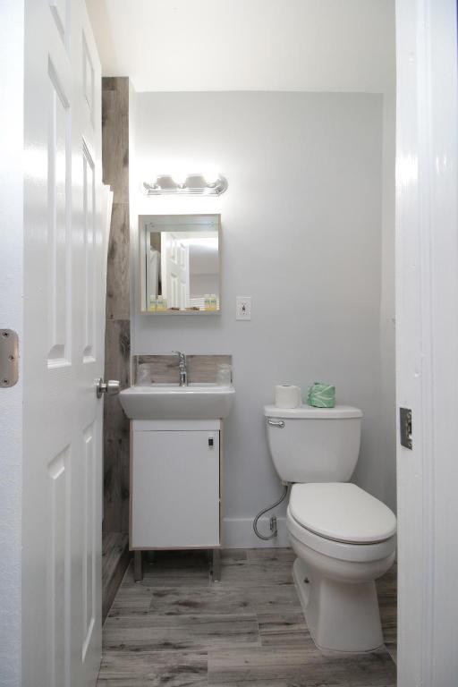 The Dolphin Hollywood