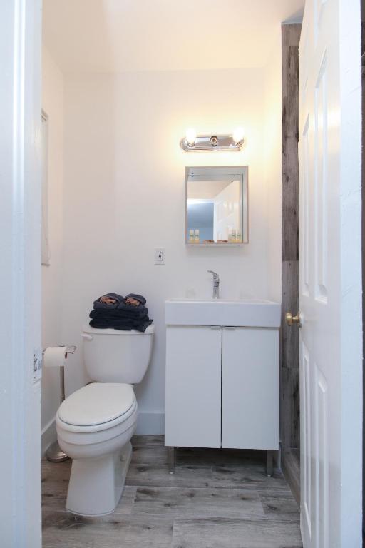 The Dolphin Hollywood