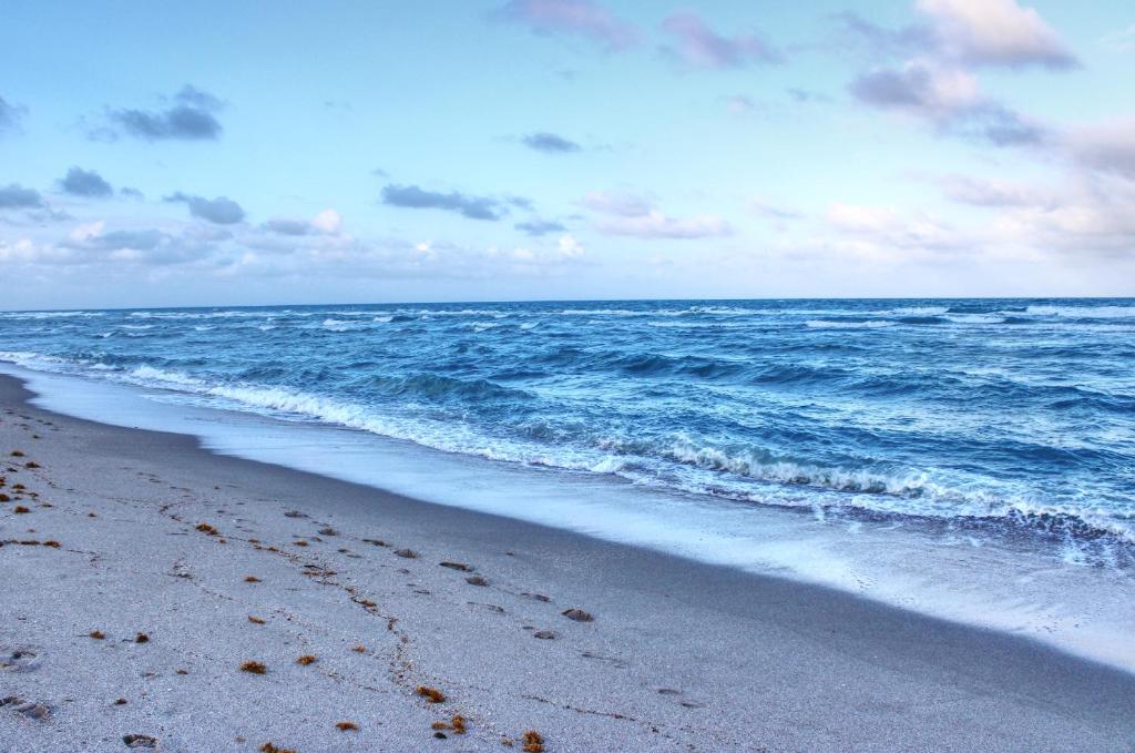 The Madison by the Gold Nests