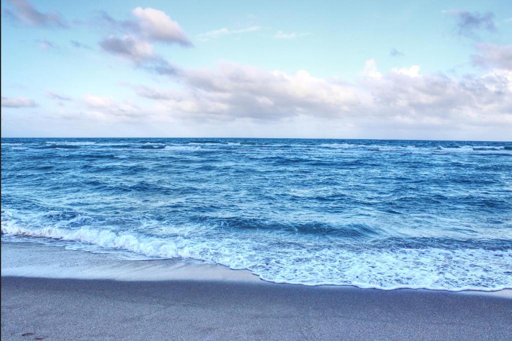 The Madison by the Gold Nests